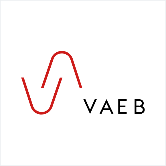 logo vaeb v2