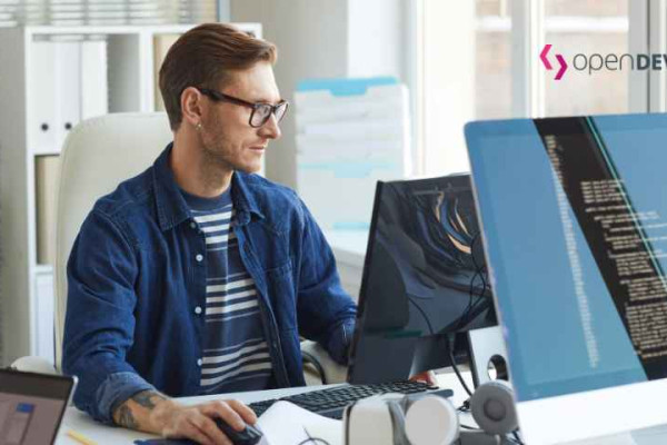 externe entwickler in wien finden software freelancer finden openDEVS